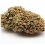 Шишки AK47 (Гидропоника, Бошка) VHQ в Егорьевске Шишки AK47 (Гидропоника, Бошка) VHQ в Егорьевске